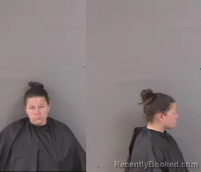 Mugshot of MISTY A SMITH booked in Indian River County, Florida on April 3, 2026