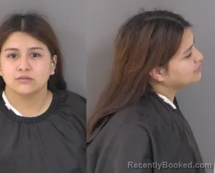 Mugshot of Wendy Sampayo booked in Indian River County, Florida on March 7, 2026