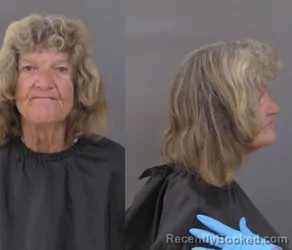 Mugshot of Cheryl Anne Simmons booked in Indian River County, Florida on July 7, 2026