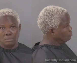 Mugshot of Carolyn Michelle Scher booked in Indian River County, Florida on September 14, 2026