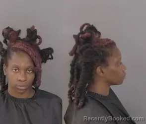 Mugshot of Adrienne Faith Brooks booked in Indian River County, Florida on March 28, 2026