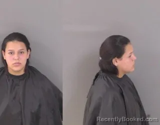 Mugshot of Erianny Elena Morales booked in Indian River County, Florida on June 10, 2026
