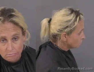 Mugshot of Vicki Jean Wilder booked in Indian River County, Florida on July 7, 2026