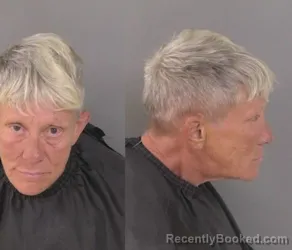 Mugshot of Diane Rdelle Miller booked in Indian River County, Florida on March 29, 2026