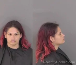 Mugshot of Lena Ann Boothe booked in Indian River County, Florida on March 23, 2026