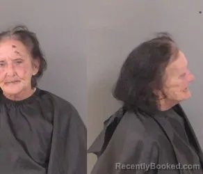 Mugshot of Sheila L Nichols booked in Indian River County, Florida on April 3, 2026