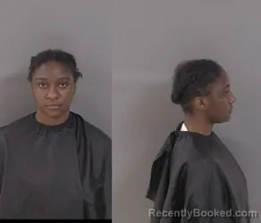 Mugshot of Tonyai Sukiarha Yvonne Turner booked in Indian River County, Florida on May 12, 2026