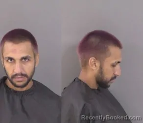 Mugshot of Vishveshwar Shiv Elphick booked in Indian River County, Florida on June 19, 2026