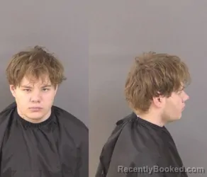 Mugshot of Dalton James Player