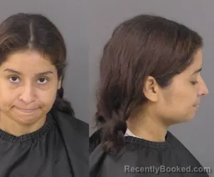 Mugshot of Dayana Yolani DeLeon booked in Indian River County, Florida on June 19, 2026