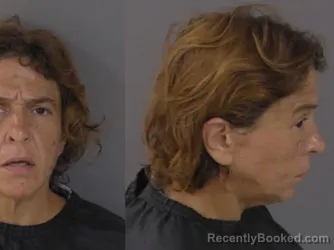 Mugshot of Teresa Ann Fogarty booked in Indian River County, Florida on August 24, 2026