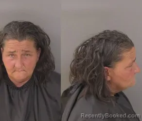 Mugshot of Diane Marie Levasseur booked in Indian River County, Florida on April 24, 2026