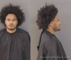 Mugshot of DeShawn Paul