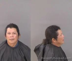 Booking photo from Indian River County, Florida