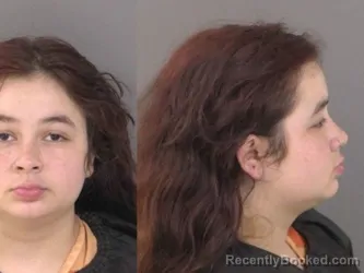 Mugshot of Mercades Ramirez