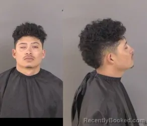 Mugshot of Alex Redondo Buezo