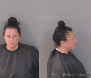 Mugshot of Venessa Ferguson