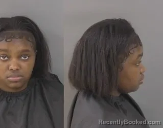 Mugshot of Brianna Abigayle Lawrence