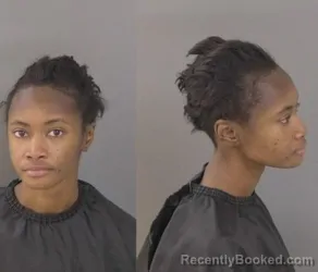 Mugshot of Ekalejia Trenai King booked in Indian River County, Florida on April 24, 2026