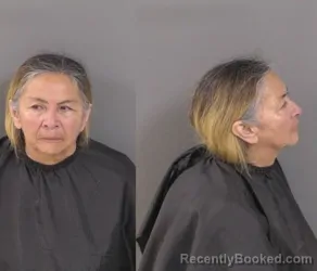 Mugshot of Marin Comba booked in Indian River County, Florida on March 27, 2026