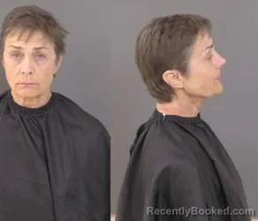 Mugshot of Heidi Johanna Lull booked in Indian River County, Florida on March 29, 2026