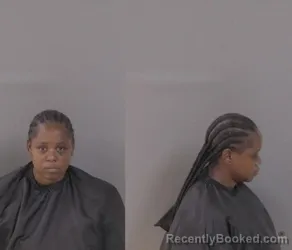 Mugshot of JANITA LAVERNE OWENS booked in Indian River County, Florida on June 25, 2026