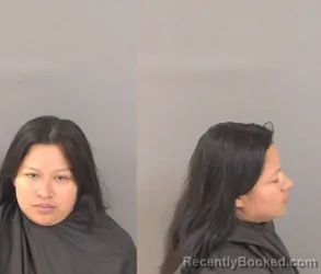 Mugshot of Eudelia Ortiz Ortiz booked in Indian River County, Florida on May 17, 2026