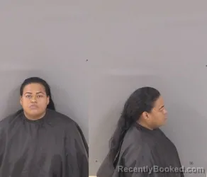 Booking photo from Indian River County, Florida