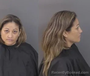 Mugshot of Ana Yeni Plata Espino booked in Indian River County, Florida on June 11, 2026