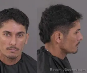 Mugshot of Thiago Mazzi Costa booked in Indian River County, Florida on June 13, 2026
