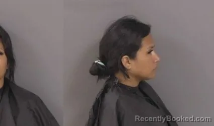 Mugshot of Katherine Llerena Uchillan booked in Indian River County, Florida on June 14, 2026