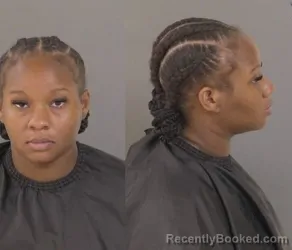 Mugshot of Cnyah Nichelle Morris booked in Indian River County, Florida on June 19, 2026