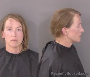 Mugshot of Heather Lynn Wilson booked in Indian River County, Florida on June 23, 2026