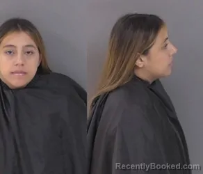 Mugshot of Michelle Alejandra Gonzalez Pina booked in Indian River County, Florida on June 27, 2026