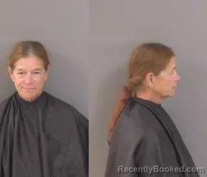 Mugshot of JACKELENE JEAN SARBU booked in Indian River County, Florida on June 27, 2026