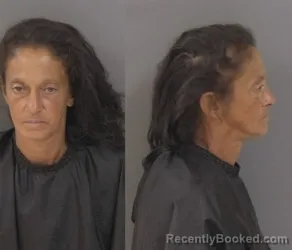 Mugshot of Anita Joanna Garifo booked in Indian River County, Florida on August 5, 2026