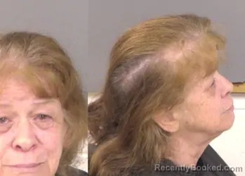 Mugshot of Joan Meehan Gatto booked in Indian River County, Florida on August 21, 2026