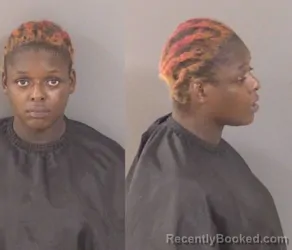 Mugshot of Sky Nykia Griffith booked in Indian River County, Florida on August 24, 2026