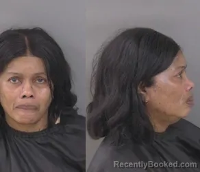 Mugshot of Angela Sherman Stallings booked in Indian River County, Florida on August 24, 2026