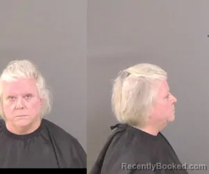 Mugshot of Mary Frances James booked in Indian River County, Florida on October 8, 2026