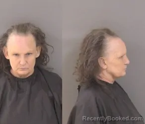 Mugshot of Renee Carol Taig Johnston booked in Indian River County, Florida on September 24, 2026