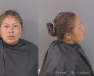 Mugshot of Vianey San Juan Mendoza booked in Indian River County, Florida on September 18, 2026