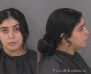 Mugshot of Cassandra Nicole Rivera booked in Indian River County, Florida on October 3, 2026