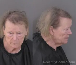 Mugshot of Linda Anne Ballas booked in Indian River County, Florida on July 7, 2026