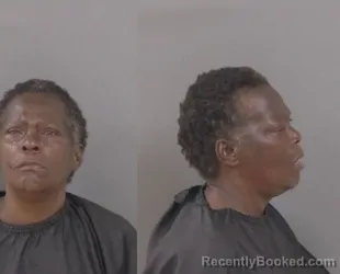 Mugshot of Dorothy Jean Royal booked in Indian River County, Florida on May 11, 2026