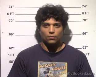 Booking photo from Gillespie County, Texas