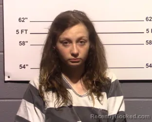 Booking photo from Gillespie County, Texas