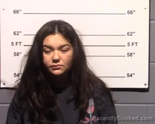 Mugshot of Emily Clarie Larmer