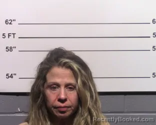 Mugshot of Elizabeth Trevizo Norris