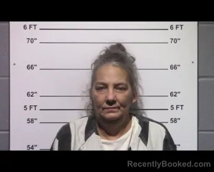 Mugshot of Dawn Capri Tillian